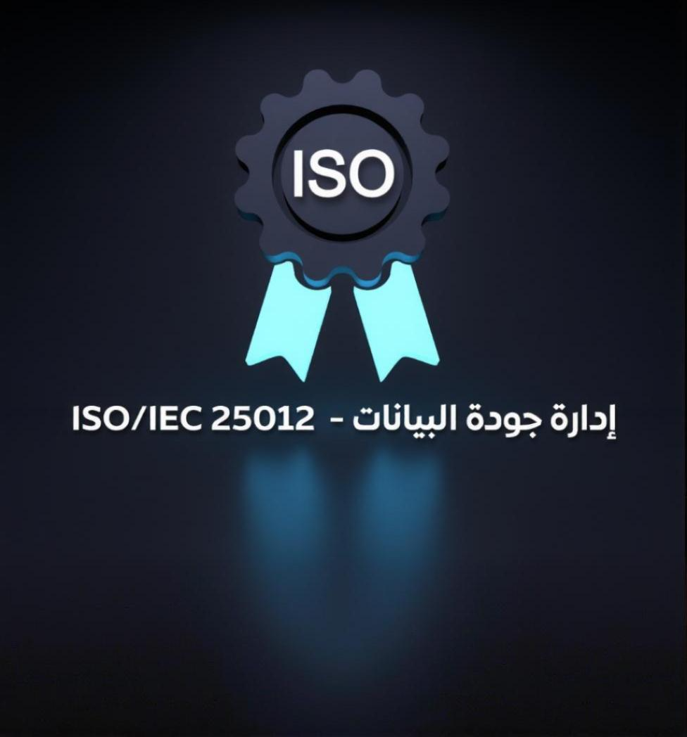 إدارة جودة البيانات (Data Quality)